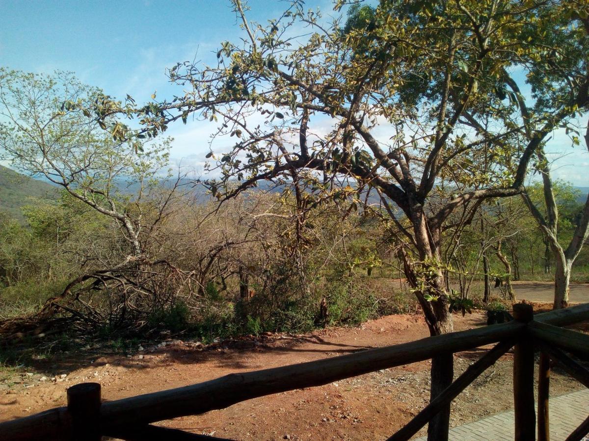 Hazyview Buffalo Game Lodge Εξωτερικό φωτογραφία